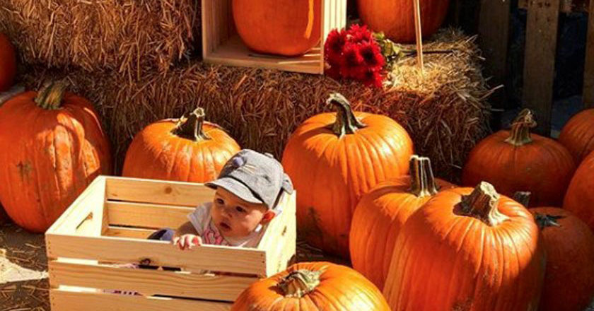 Baby in a crate at the Haunted Little Tokyo Pumpkin Patch