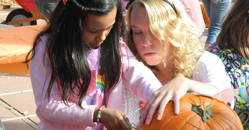 Learning how to carve a pumpkin with Pumpkin Masters tools.