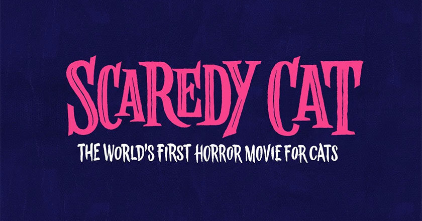 Scaredy Cat The World's First Horror Movie For Cats